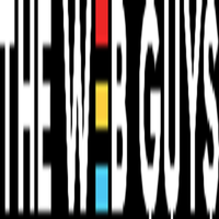 thewebguysnz