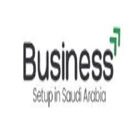 businesssetup1 businesssetup1