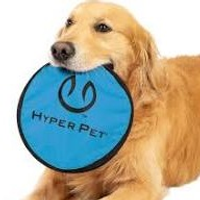 hyperpetflippyfl hyperpetflippyfl