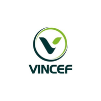 vincef vincef