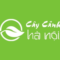 mtvcaycanhhanoi mtvcaycanhhanoi
