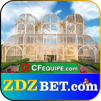 zdzbetukcom zdzbetukcom