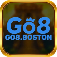 go8boston go8boston