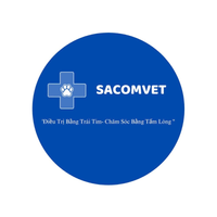 sacomvet sacomvet