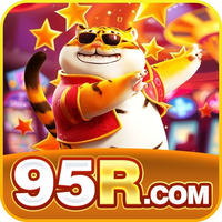 95rnetbr1 95rnetbr1