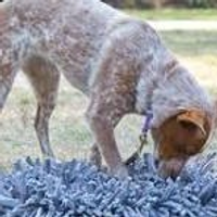 paw5woolysnuffl