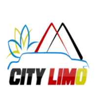 citylimousine citylimousine