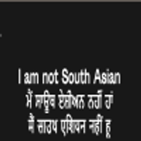 South Asian South Asian