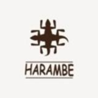 theharamberoom