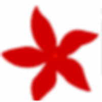 Ixorainternational 0