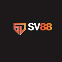 sv88airlines