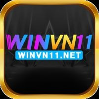 winvn11net