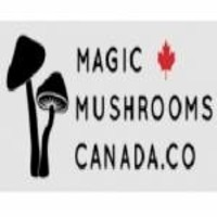 magicmushroomca