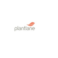 Plantlane 0