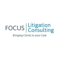 Focuslitigation