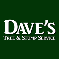 davestree