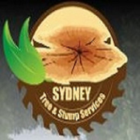 sydneytreenstump