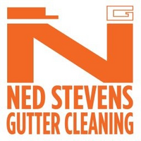 nedstevens