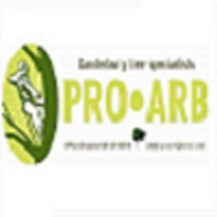 Proarb Canterbury