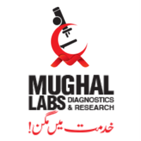 Mughal Labs