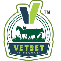 vetset lifecare