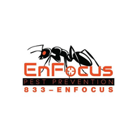 enfocuspest