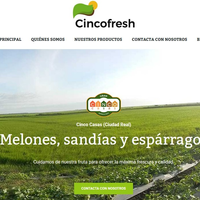 cincofresh