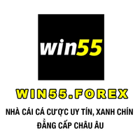 win55forex win55forex