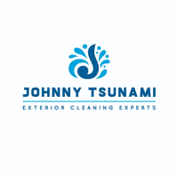 johnnytsunami2