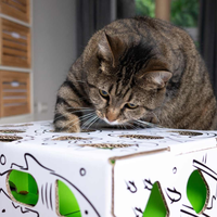 catamazingpuzzle