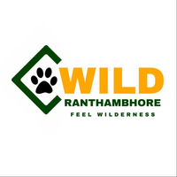 Wildlife Ranthambore