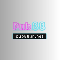 pub88innet1