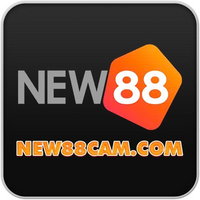 new88cam