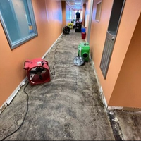FloodedBasement