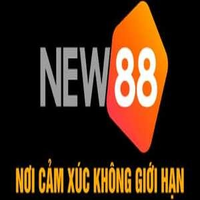 new882info1