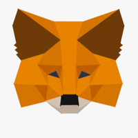 metamasklgin