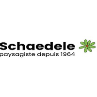 schaedele