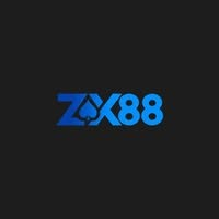 zx88io zx88io