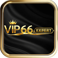 vip66expert
