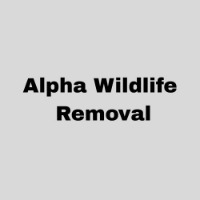 alphawildlife
