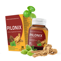 Pilonix Thailand