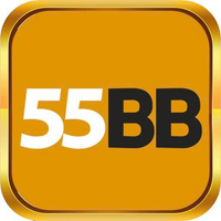 55bbbike