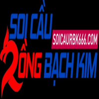 Soicaurbk666com