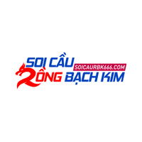 Soicaurbkcom2025