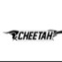 cheetah