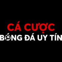 cacuocbongda12