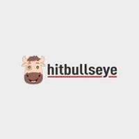 hitbullseyegrad