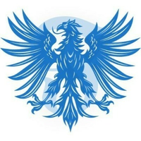 Falcon tour Travel 0