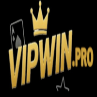 Vipwinpro2