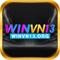 winvn13